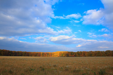 Similar image 5608638