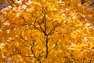 Similar image 5608747