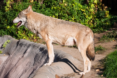 Similar image 5608763