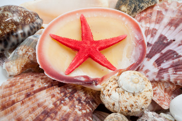 Similar image 5608773