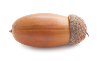 Similar image 5608828