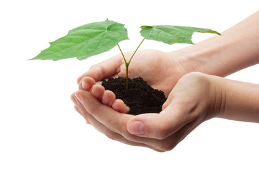 Similar image 5608835