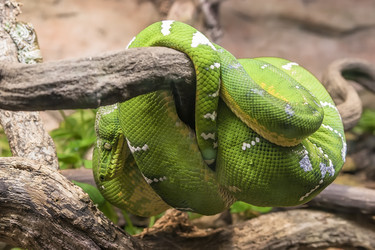 Similar image 5608844