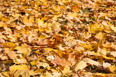 Similar image 5608872