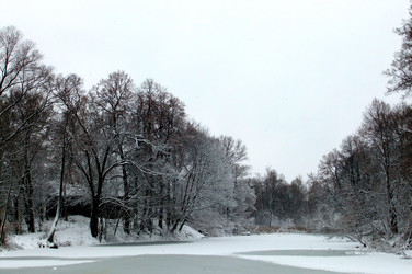 Similar image 5608956