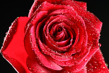 Similar image 5609092