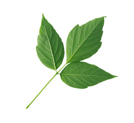 Similar image 5609096