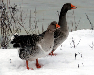 Similar image 5609099