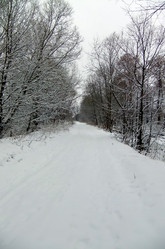 Similar image 5609101