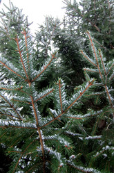 Similar image 5609117