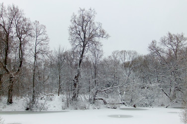 Similar image 5609118