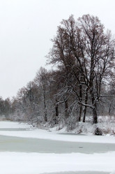 Similar image 5609120