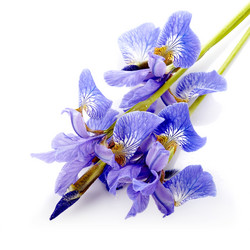 Similar image 5609201