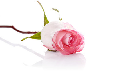 Similar image 5609204