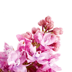 Similar image 5609206