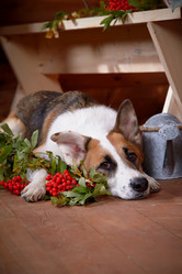 Similar image 5609211