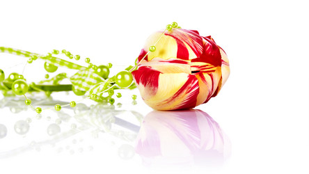 Similar image 5609215