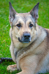 Similar image 5609219