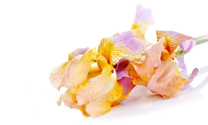 Similar image 5609239