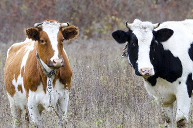 Similar image 5609297