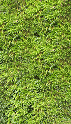 Similar image 5609347