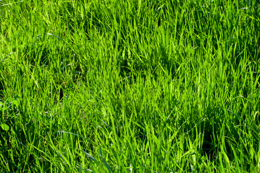 Similar image 5609587