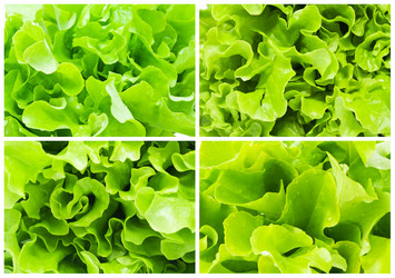 Similar image 5609589