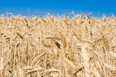 Similar image 5609594