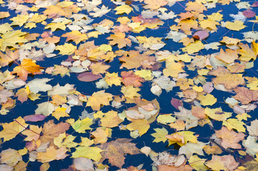 Similar image 5609605