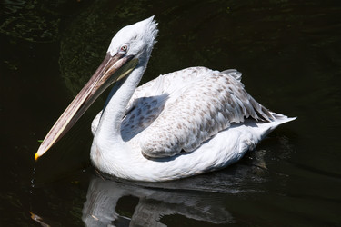 Similar image 5609616