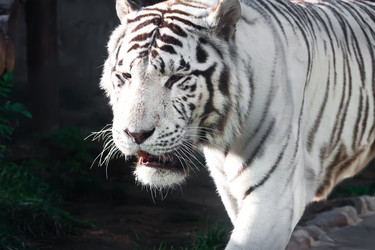 Similar image 5609622