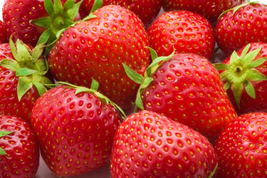 Similar image 5609627