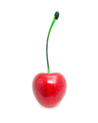 Similar image 5609662