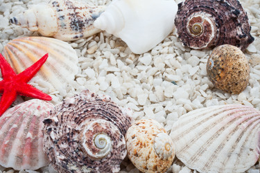 Similar image 5609667