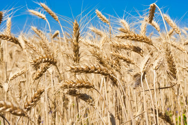 Similar image 5609703