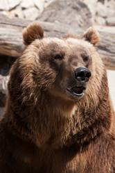 Similar image 5609711