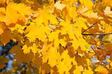 Similar image 5609712