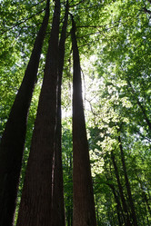 Similar image 5609735