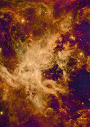 Similar image 5609935