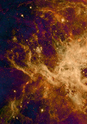 Similar image 5609959