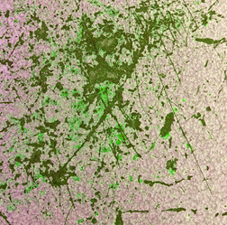 Similar image 5610015