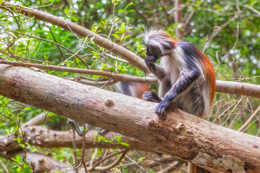 Similar image 5610276