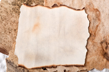 Similar image 5610349