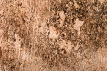 Similar image 5610351