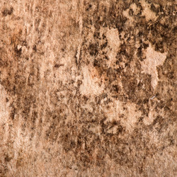 Similar image 5610365