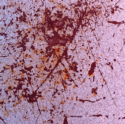 Similar image 5610381