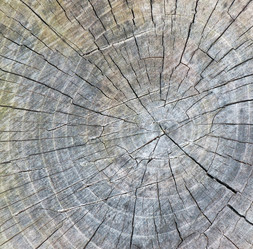 Similar image 5610383