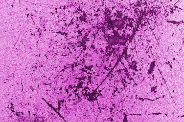 Similar image 5610390