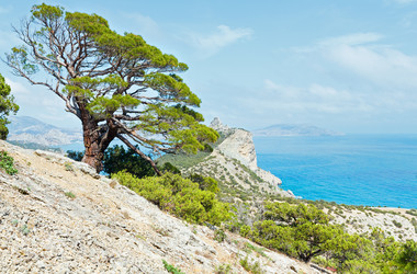 Similar image 5610395