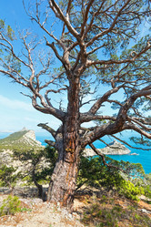 Similar image 5610397